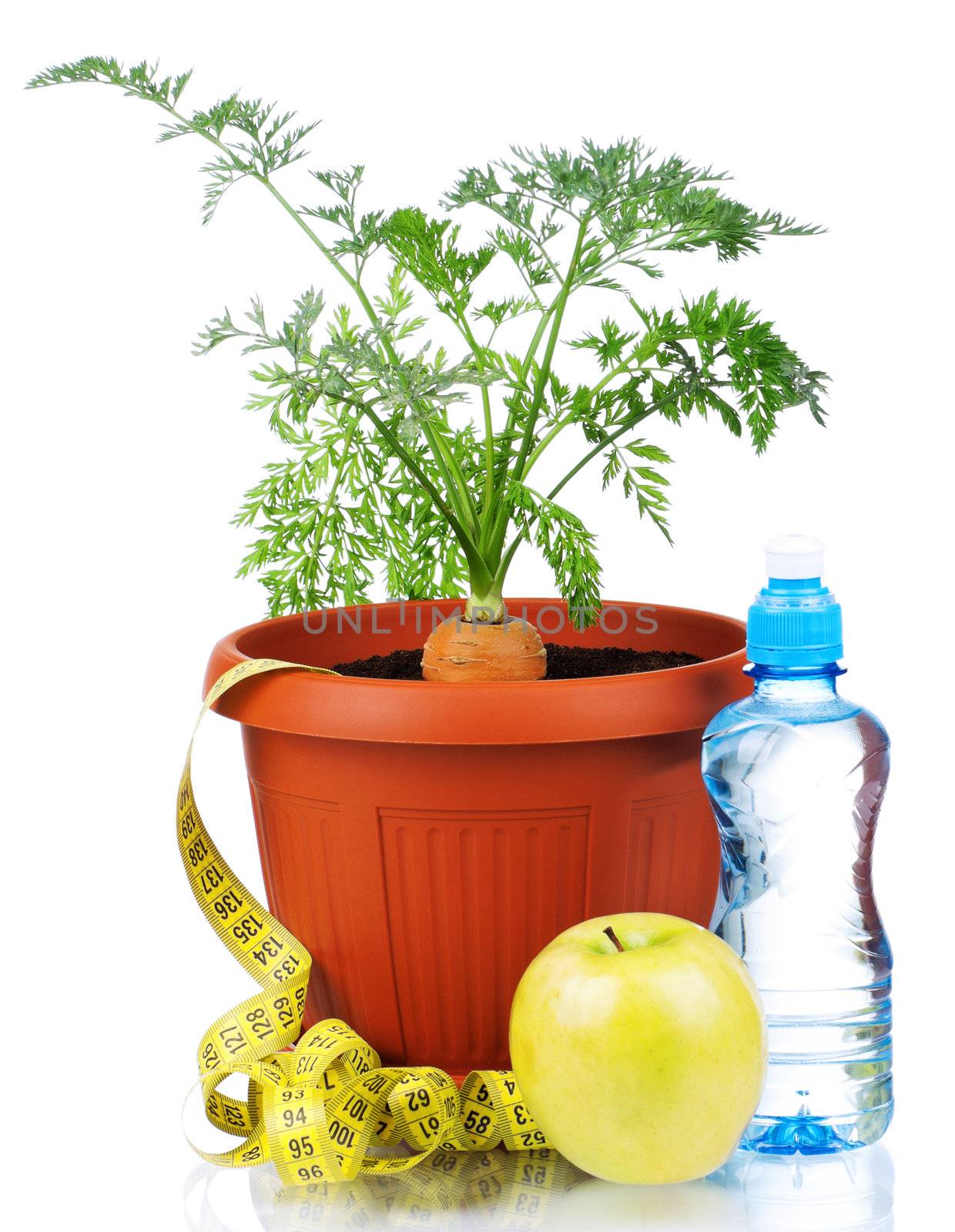 Fresh young carrot in plastic pot over a white background