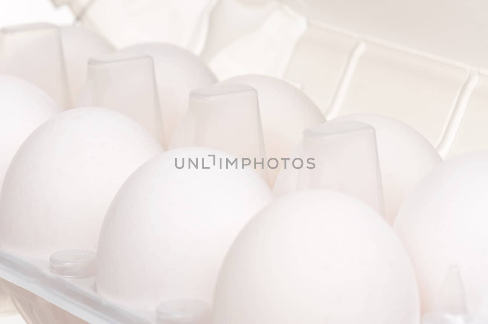 Close-up of white eggs in the plastic box