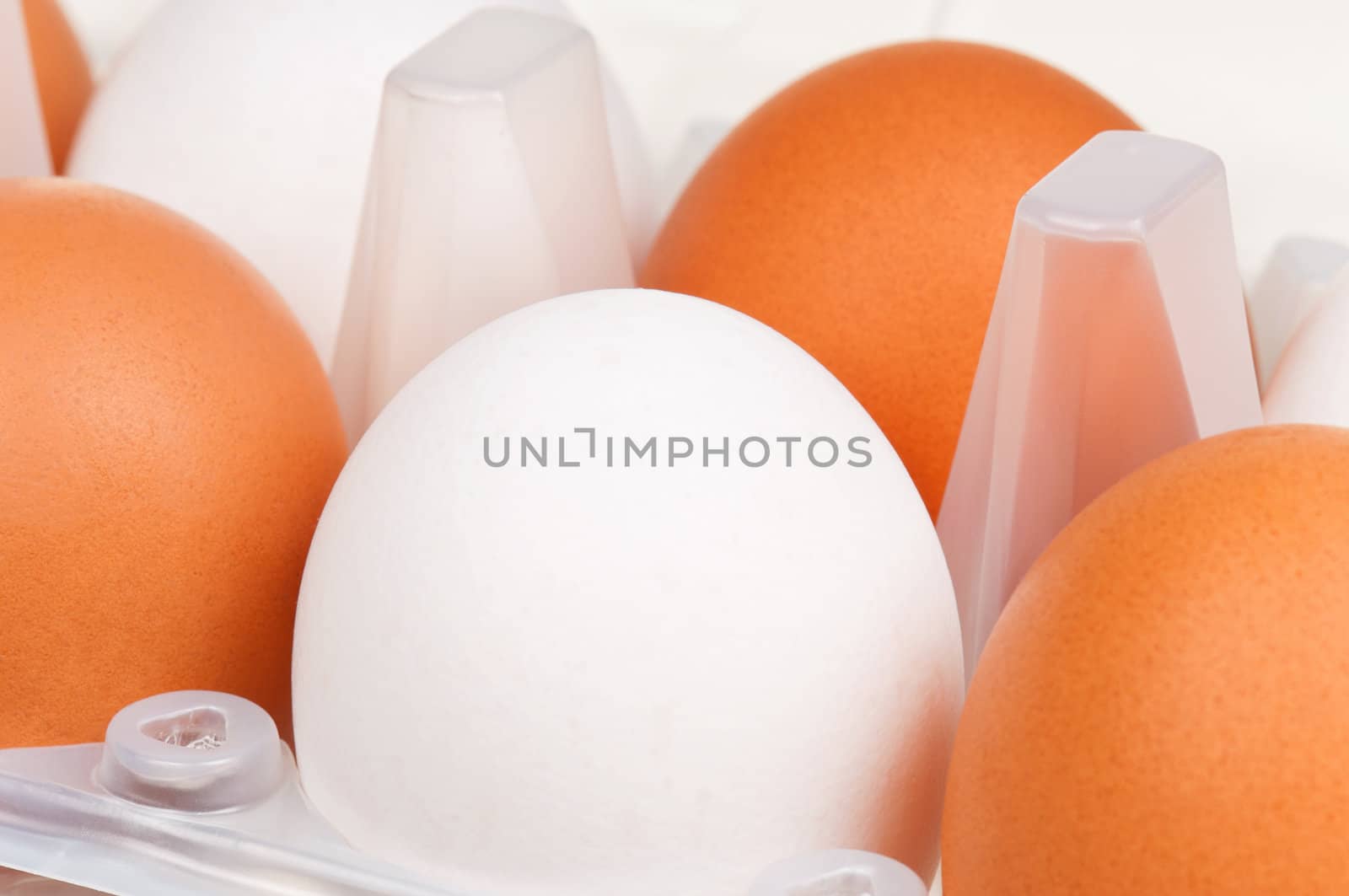 Close-up of brown and white eggs in the plastic box