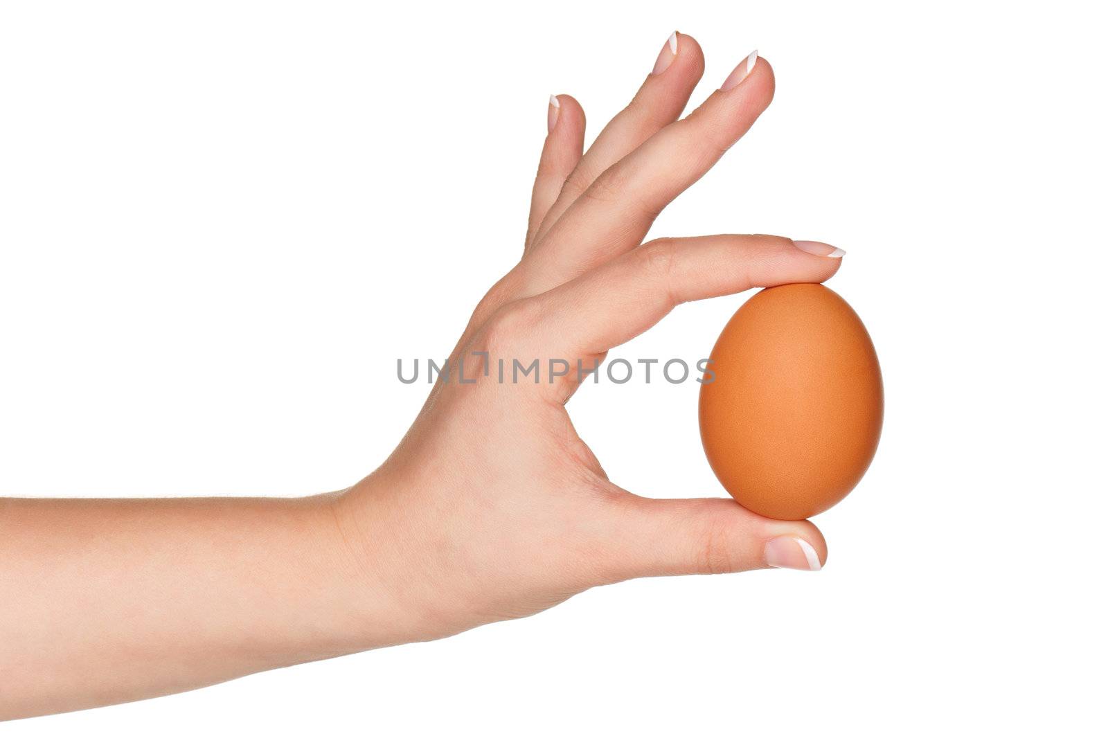 Woman hand with egg isolated on white background