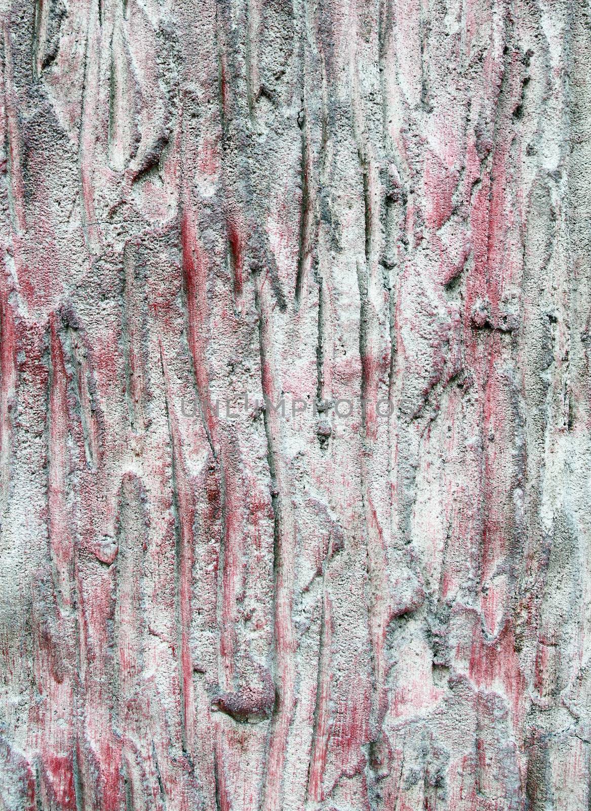 Texture of tree bark background closeup