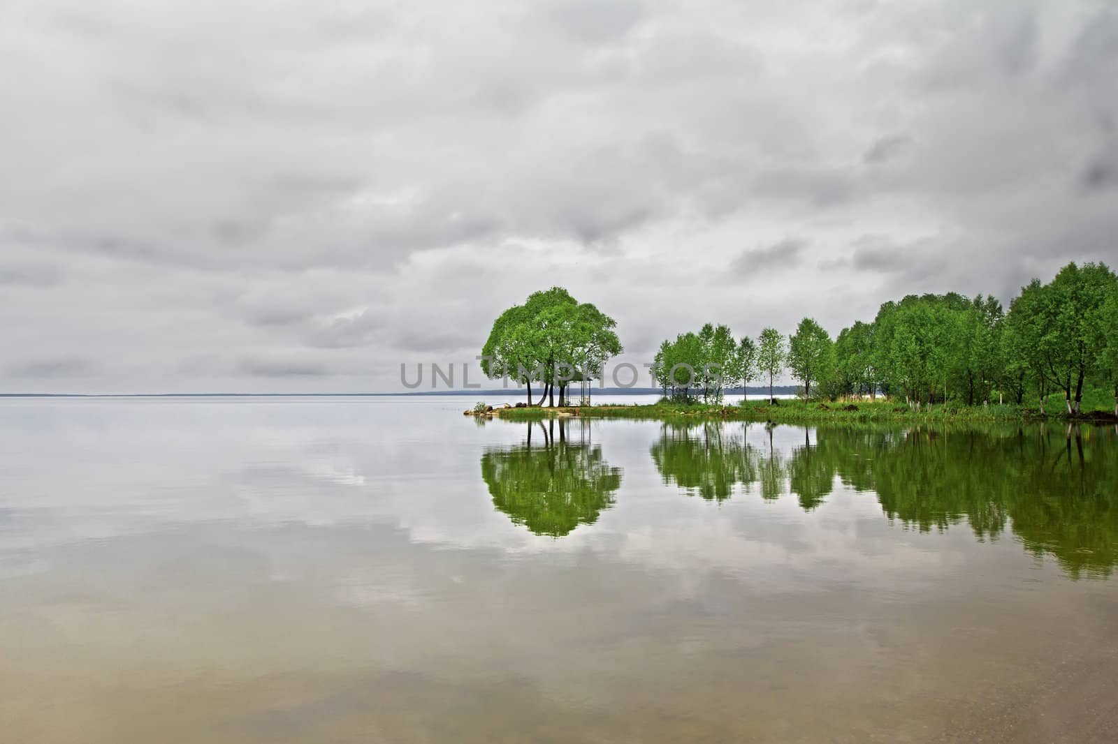 Green trees reflected in the lake surface by marinakhlybova