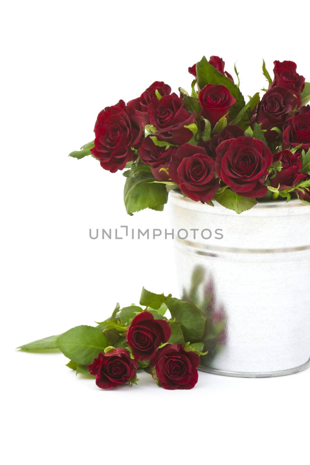 red roses in a bucket