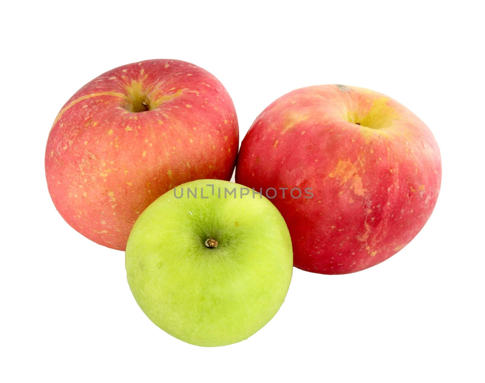 green and red apples on white background