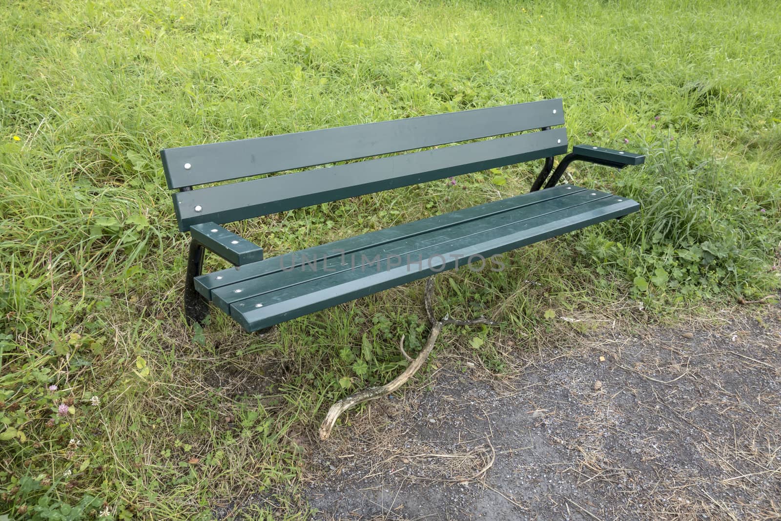 park bench closeup on green grass