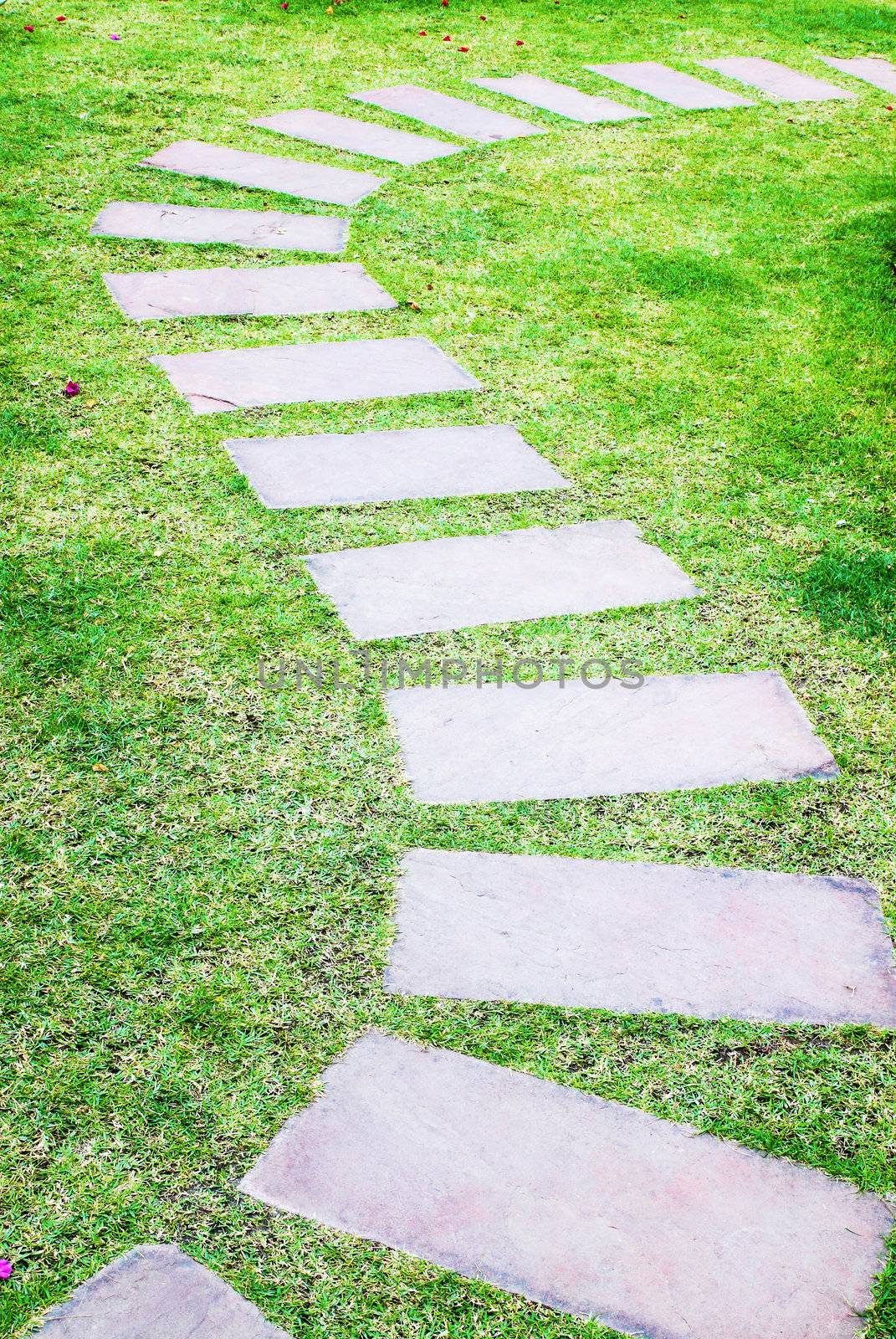 Stone walkway in the garden by geargodz