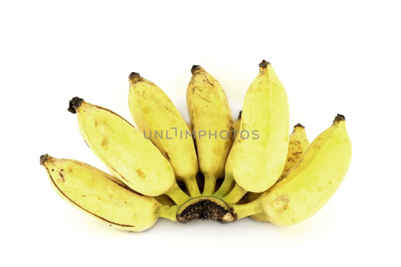 bunch of over ripe bananas on white background by geargodz