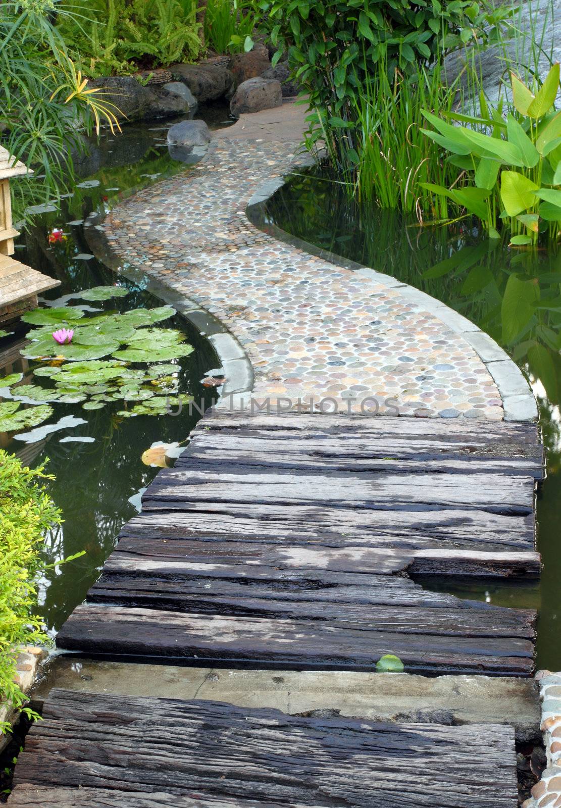 walkway path over Lotus pond by geargodz