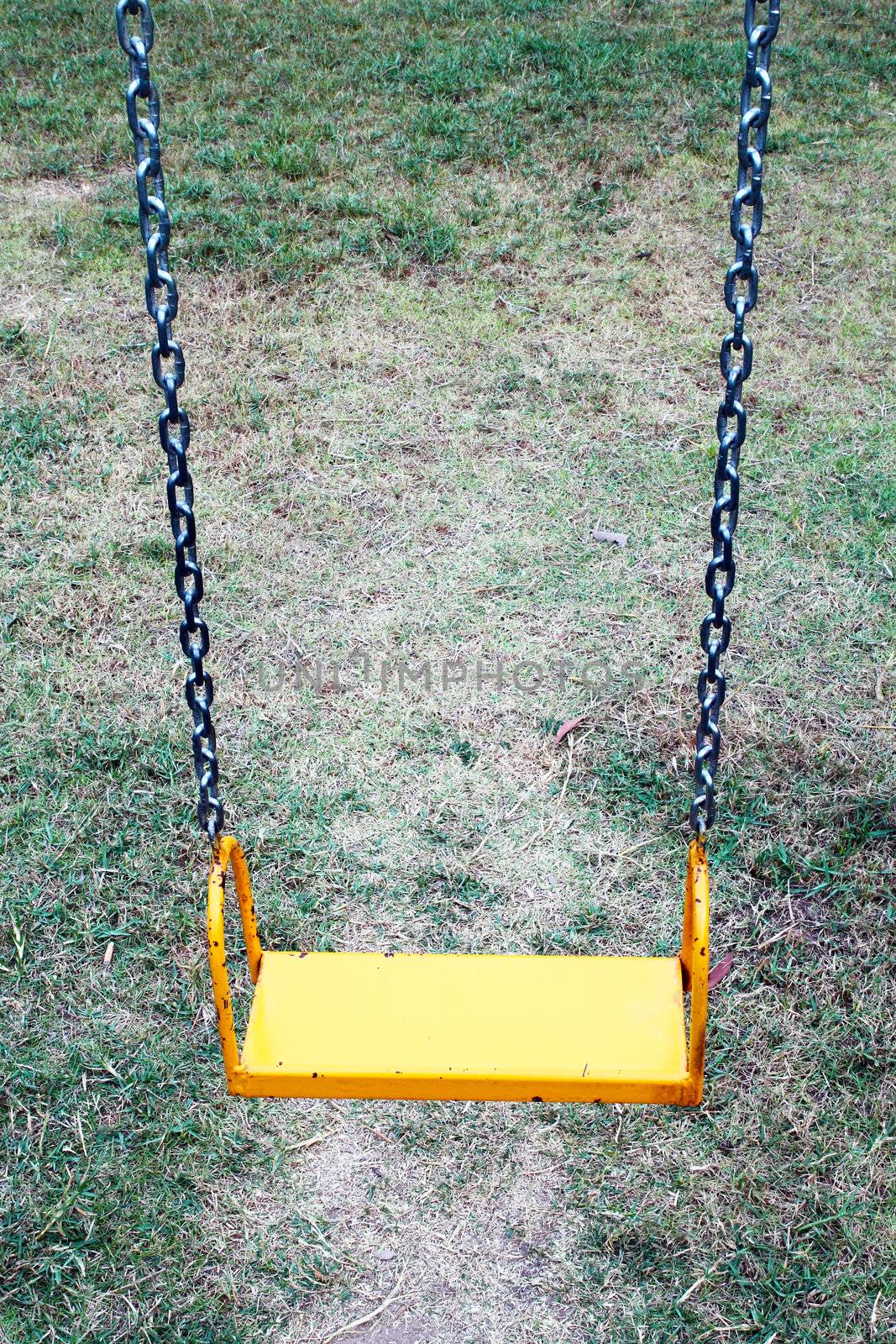 yellow garden swing hanging by geargodz