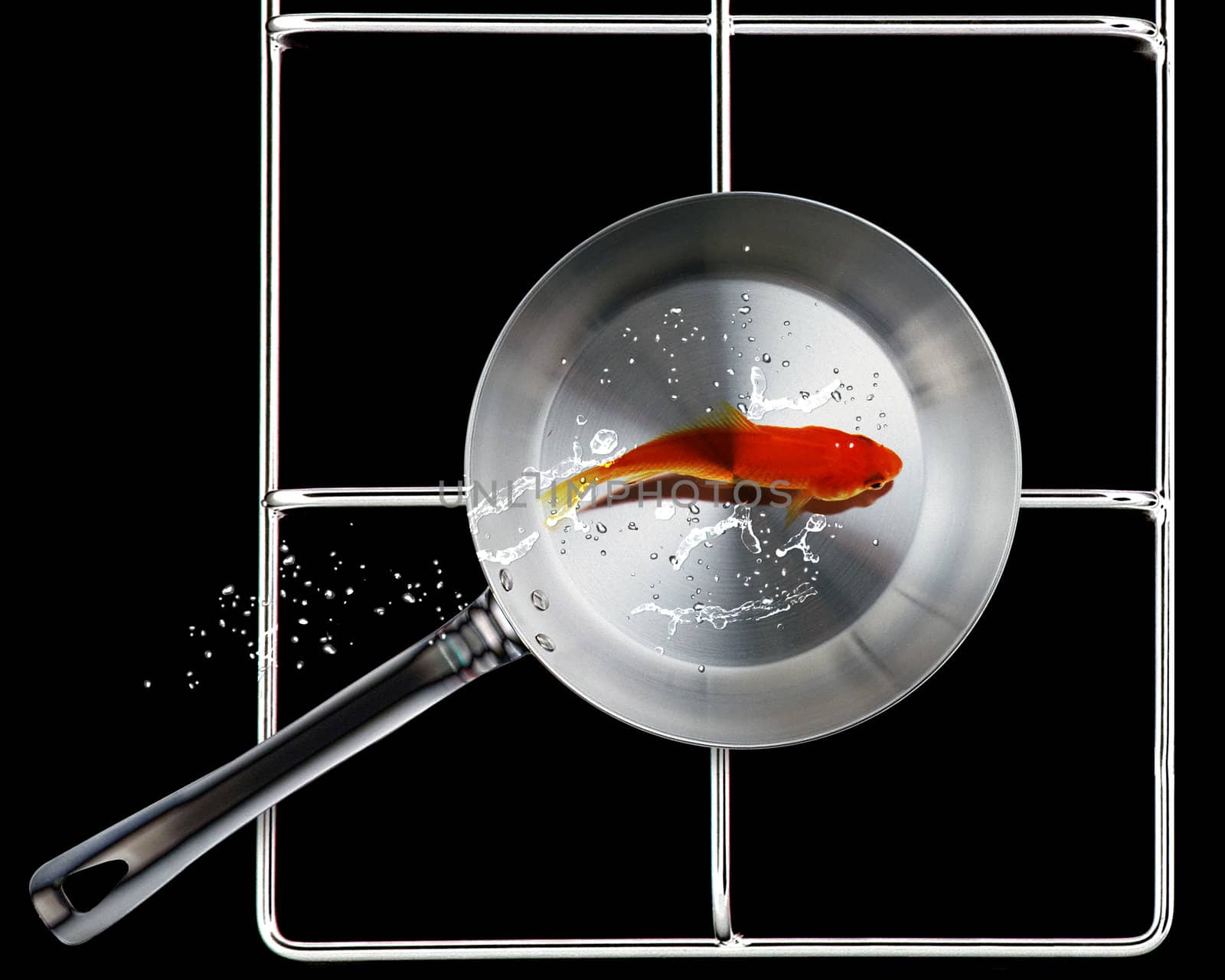 Frying pan and fresh gold fish with water splashes.