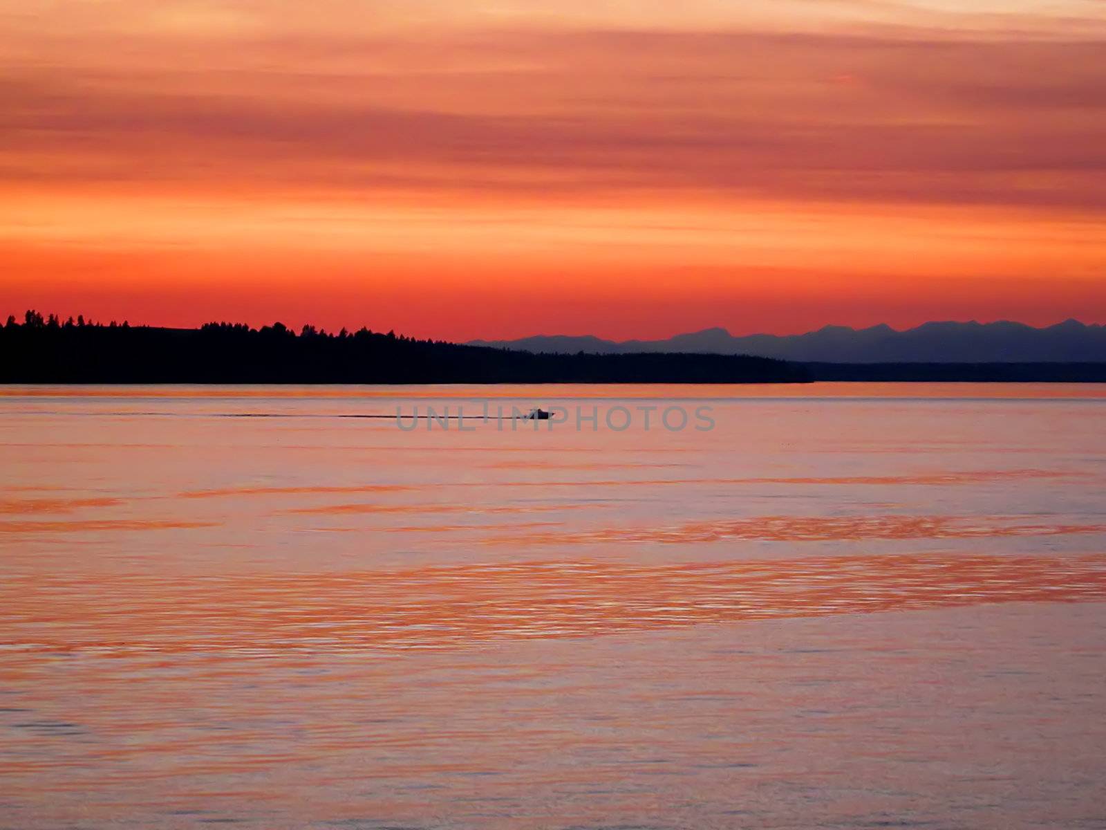 Boats On The Water by llyr8