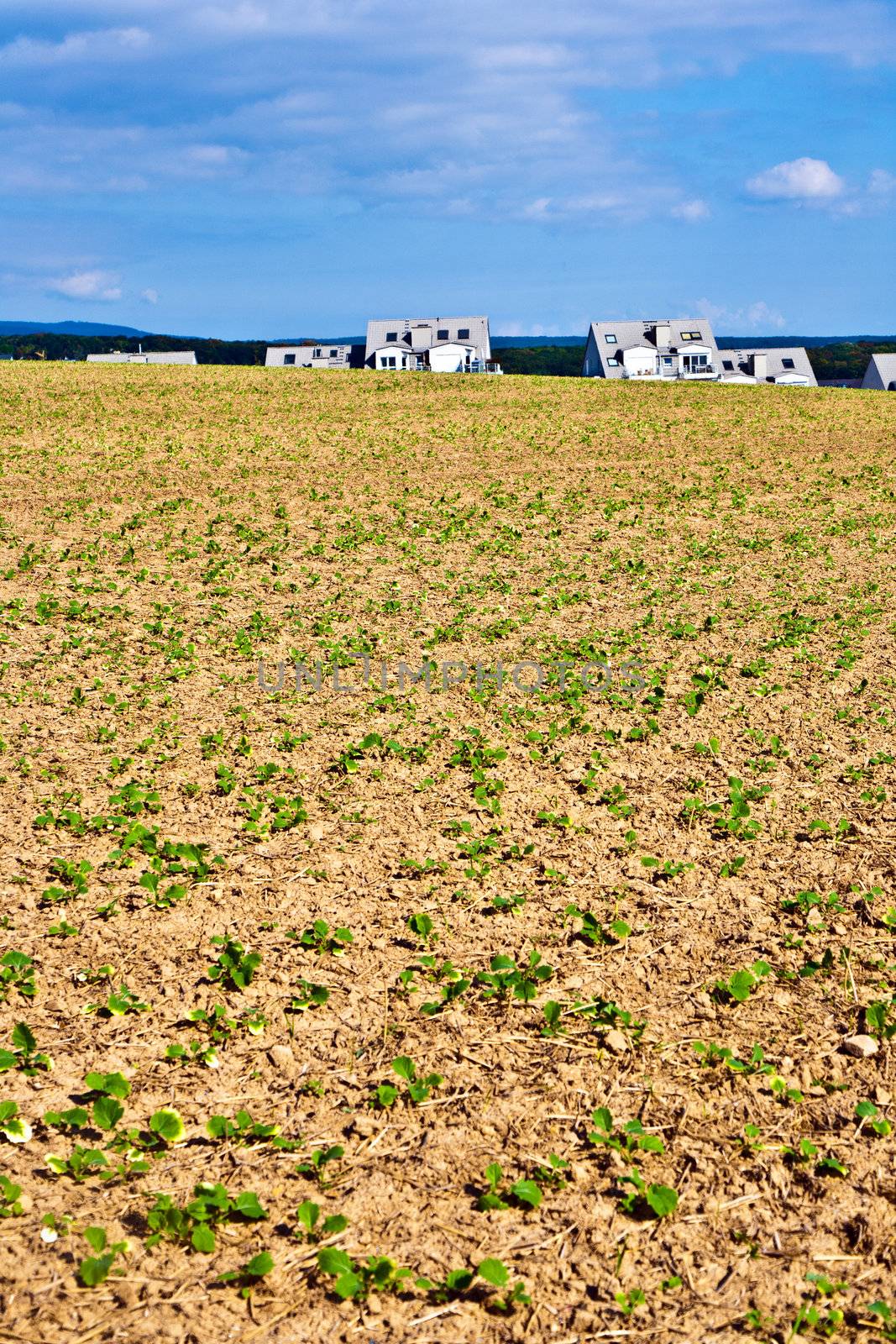 settlement near the edge of the  field by meinzahn