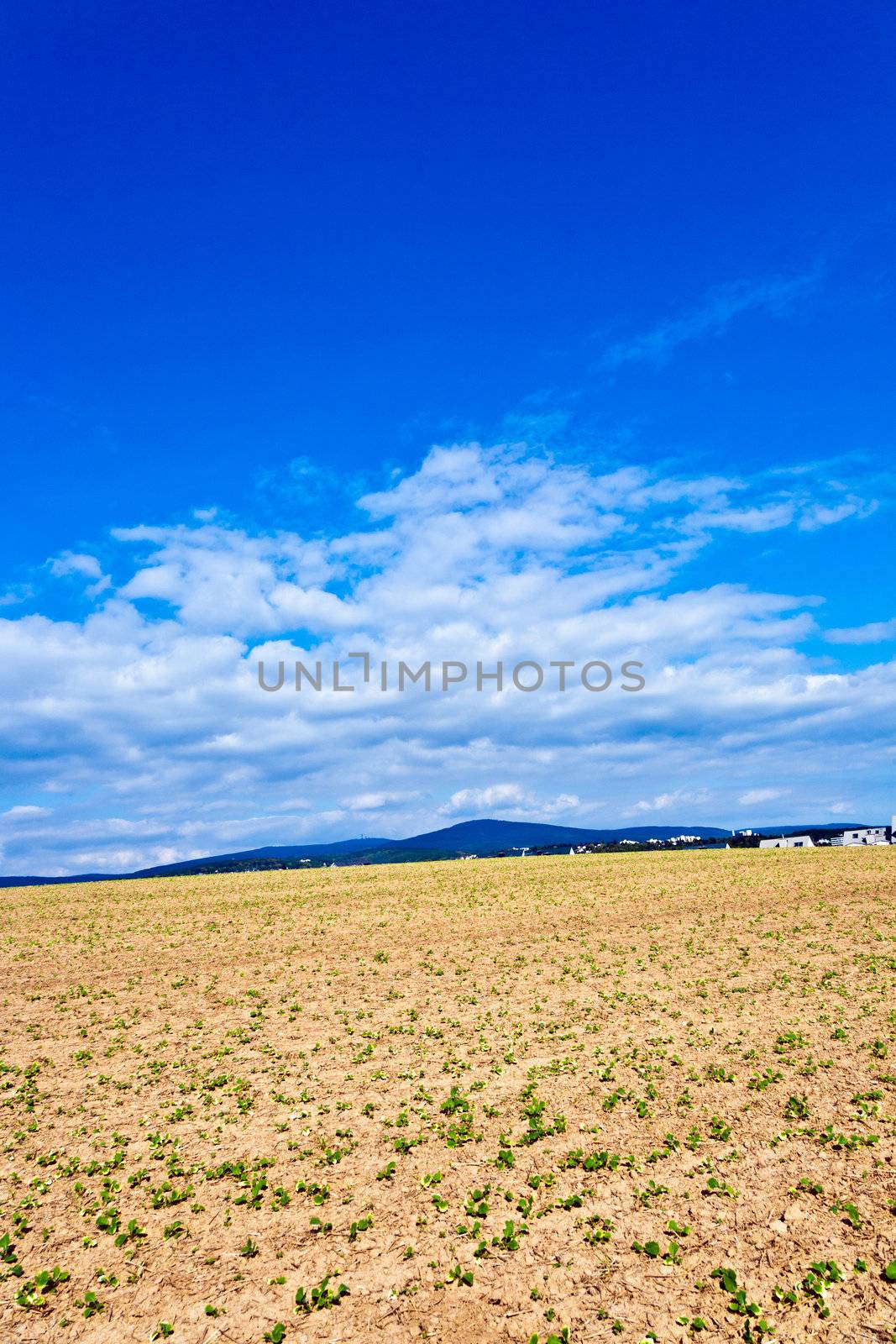 settlement near the edge of the  field by meinzahn