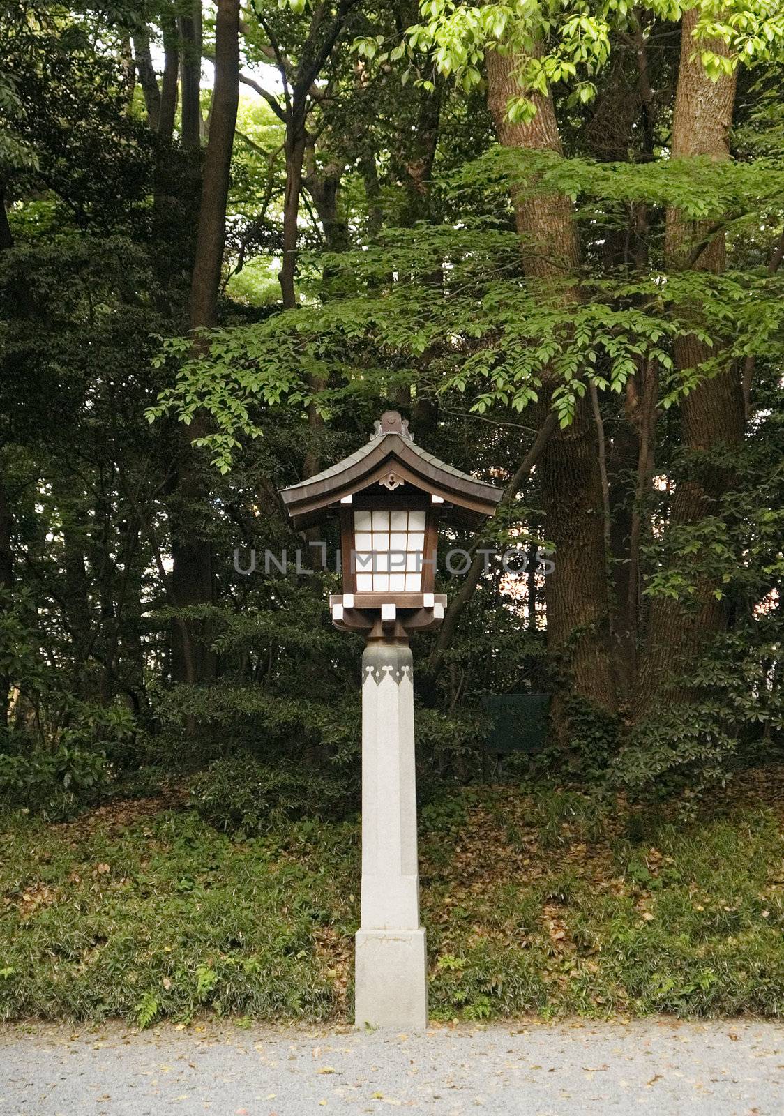 light lamp in yoyogi park in tokyo japan by jackmalipan