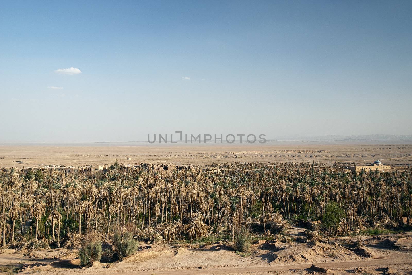 garmeh oasis landscape in iran desert