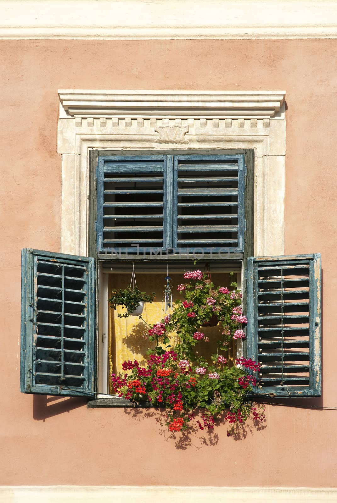 window with flowers in brasov romania