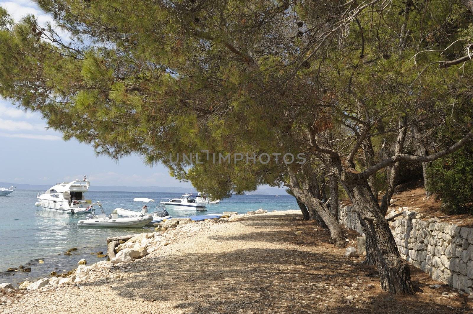 A beautiful sea landscape in the Krk park (Croatia)