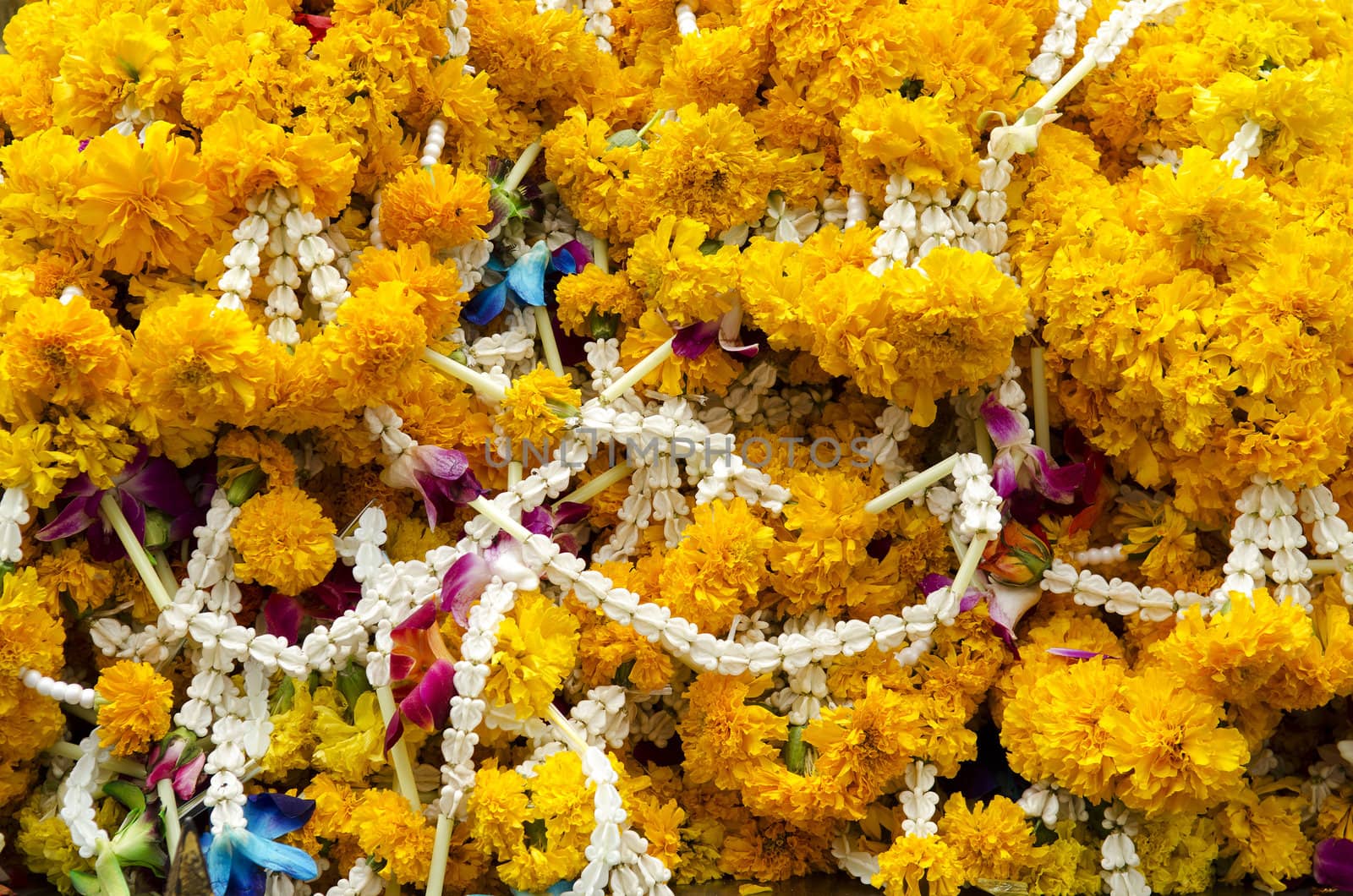 buddhist flower offering in thailand temple