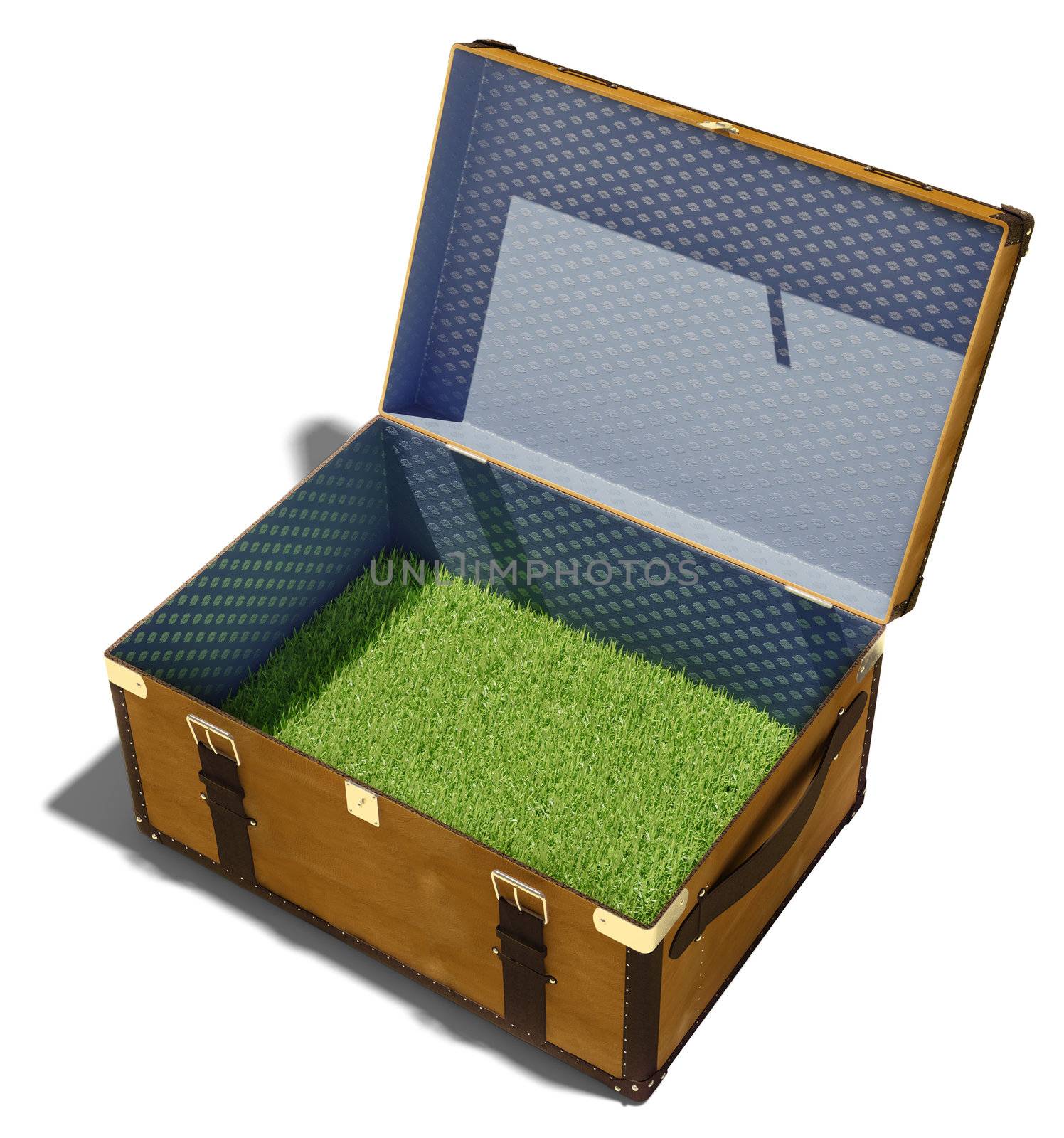 green grass meadow, as the contents of a vintage suitcase