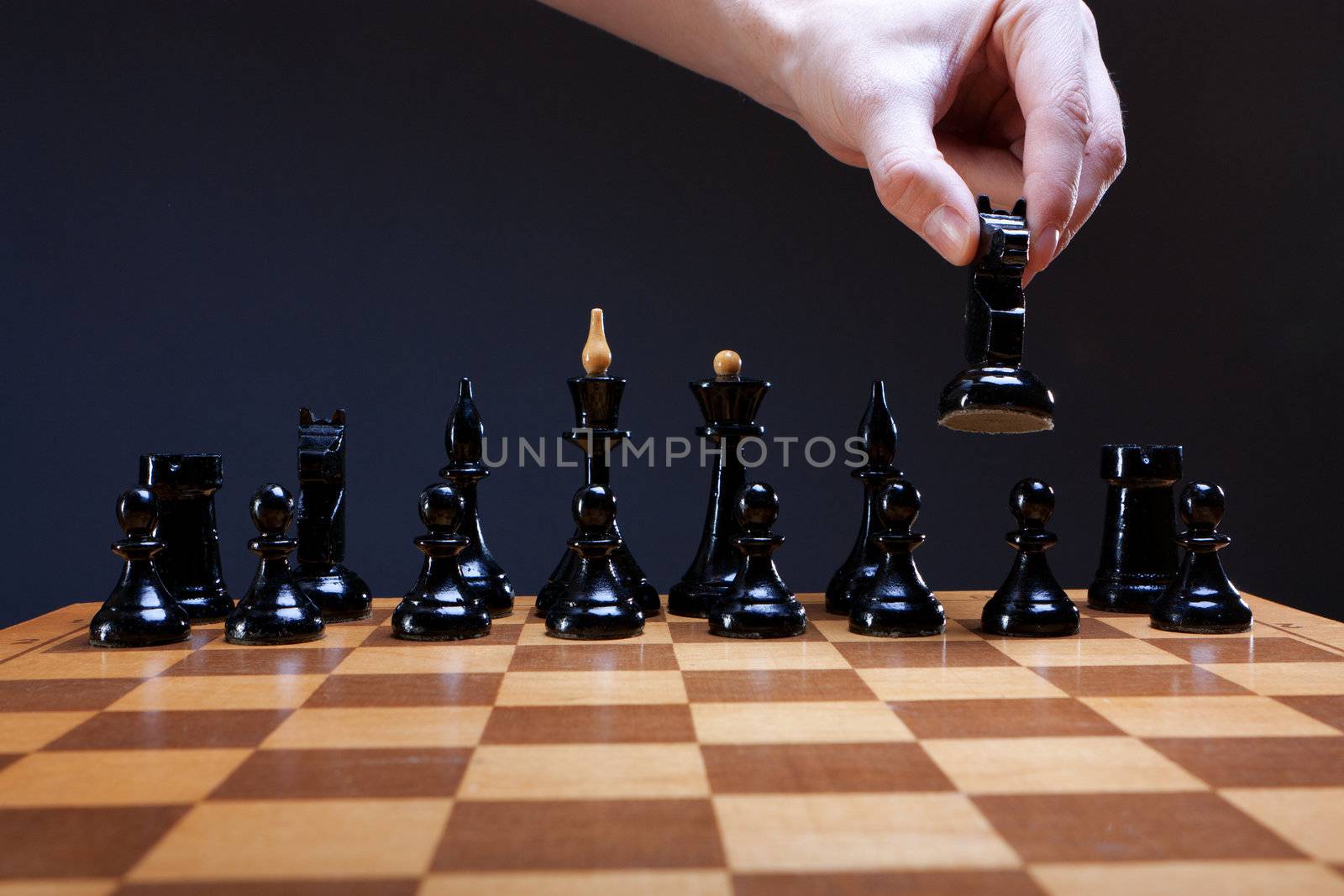 course of the chess knight with hand