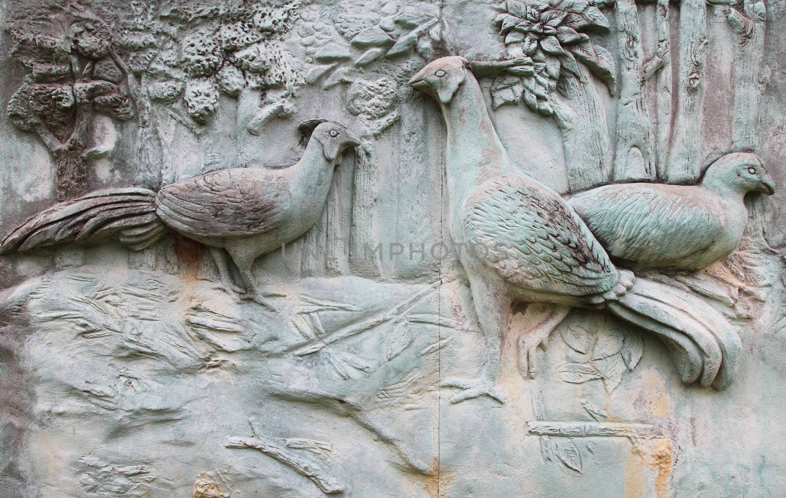 detail of bird texture at stone wall
