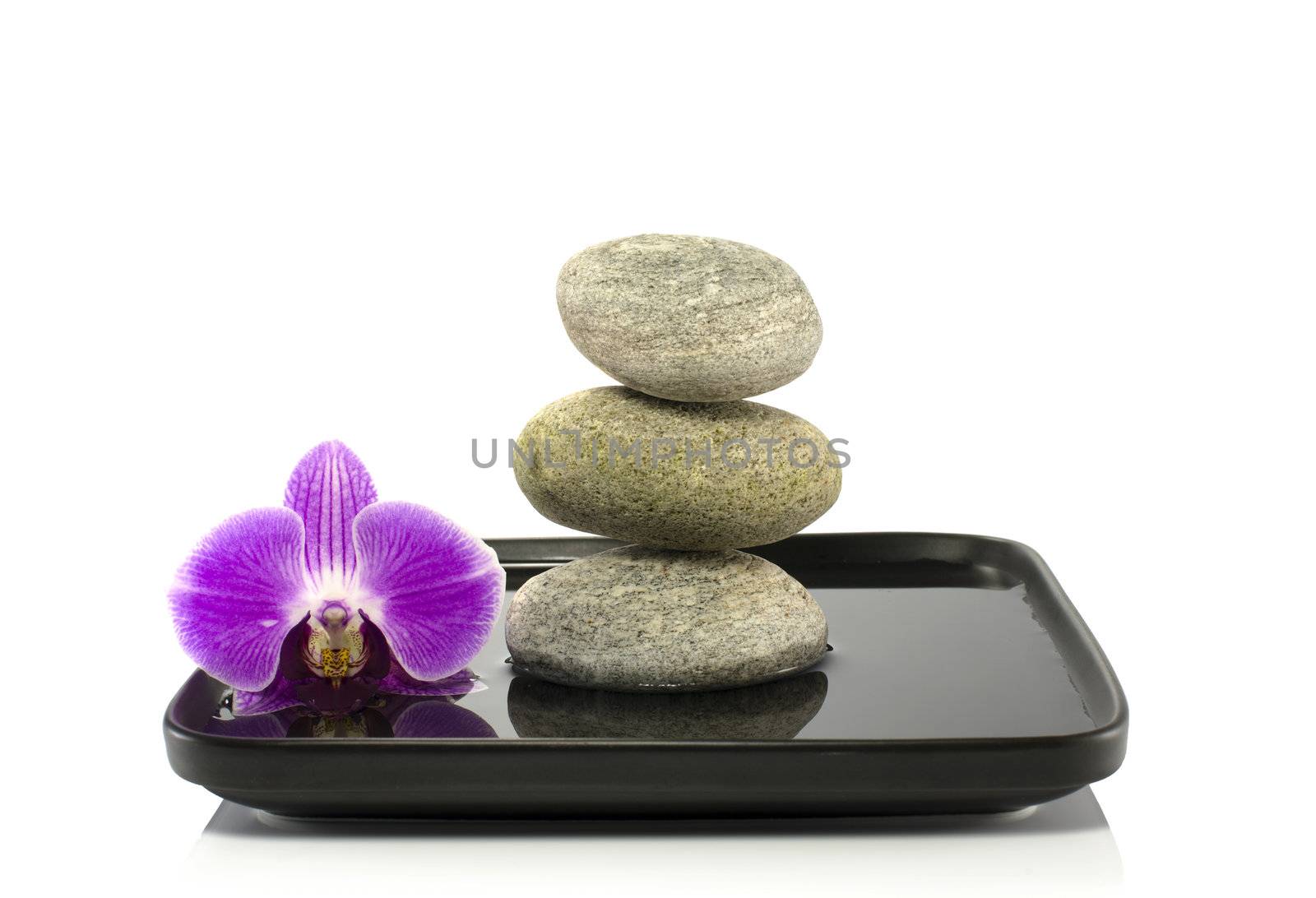 stones and orchid in balance on water