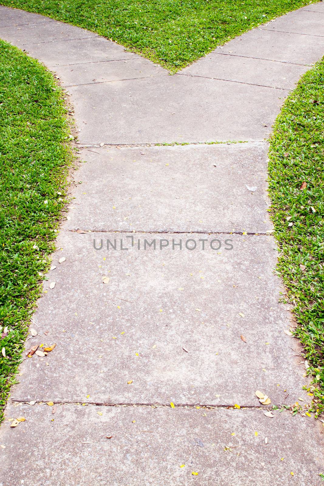 Fork in the pathway with grass
