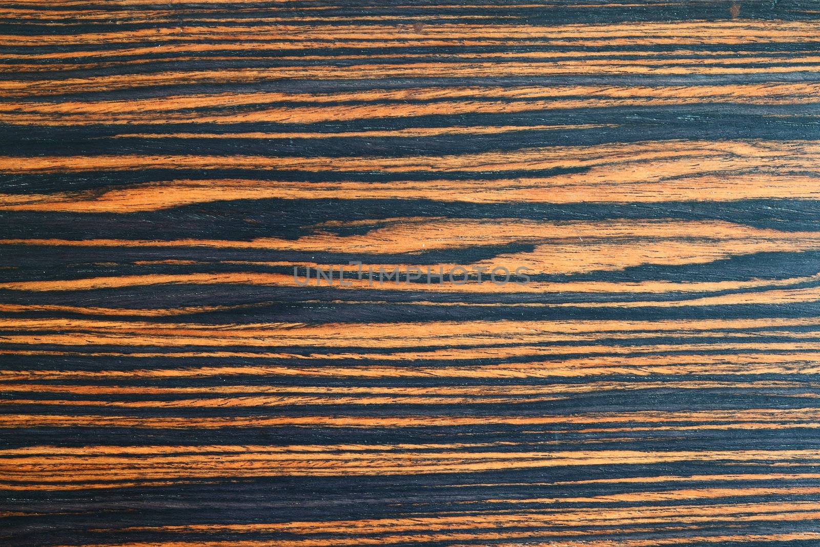 the brown wooden texture