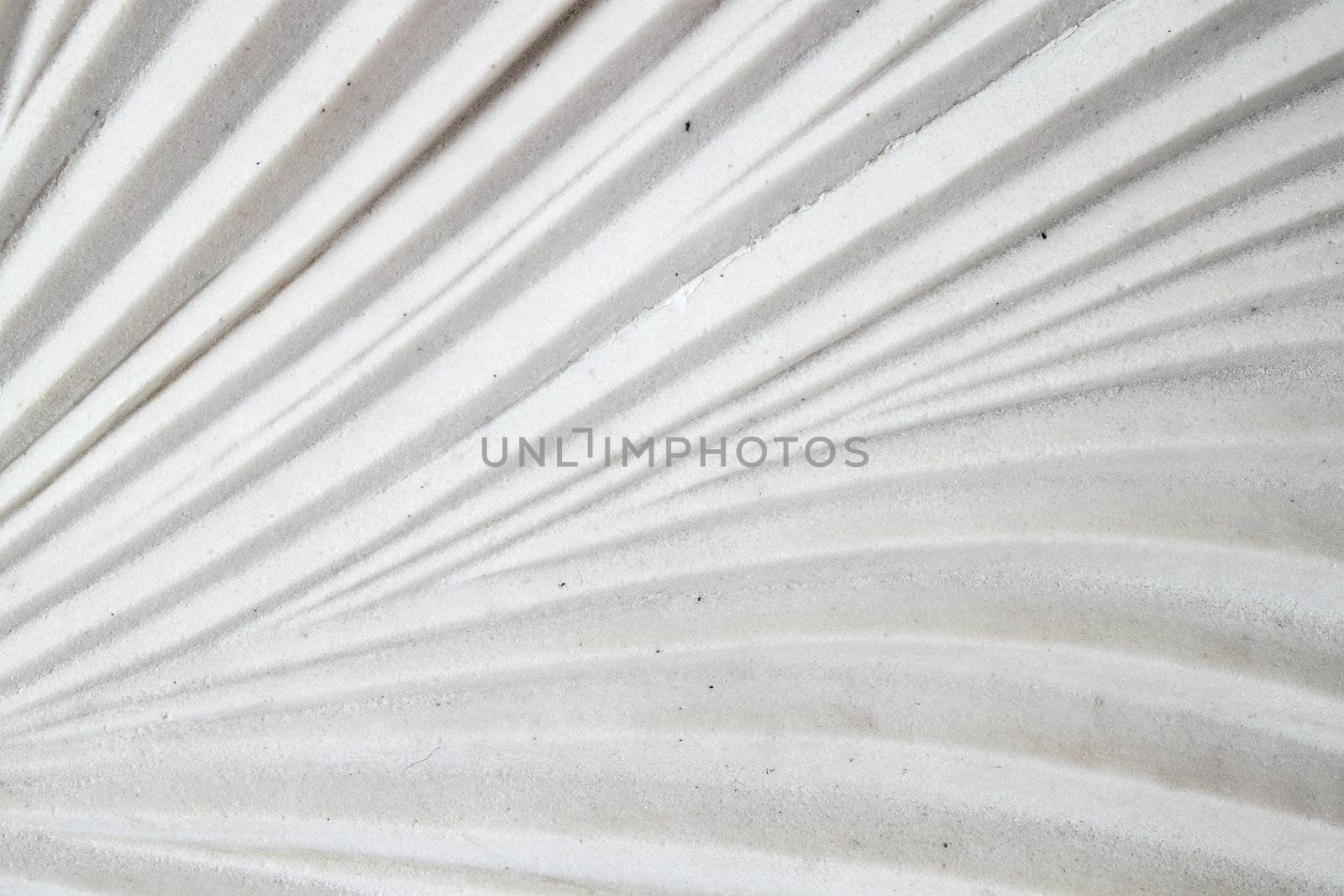 white wall with leaf texture