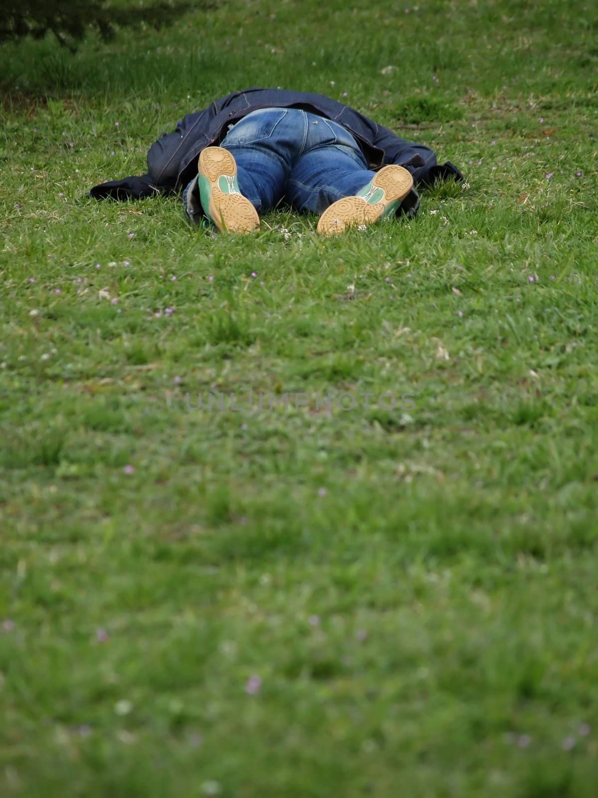 Lying on the grass