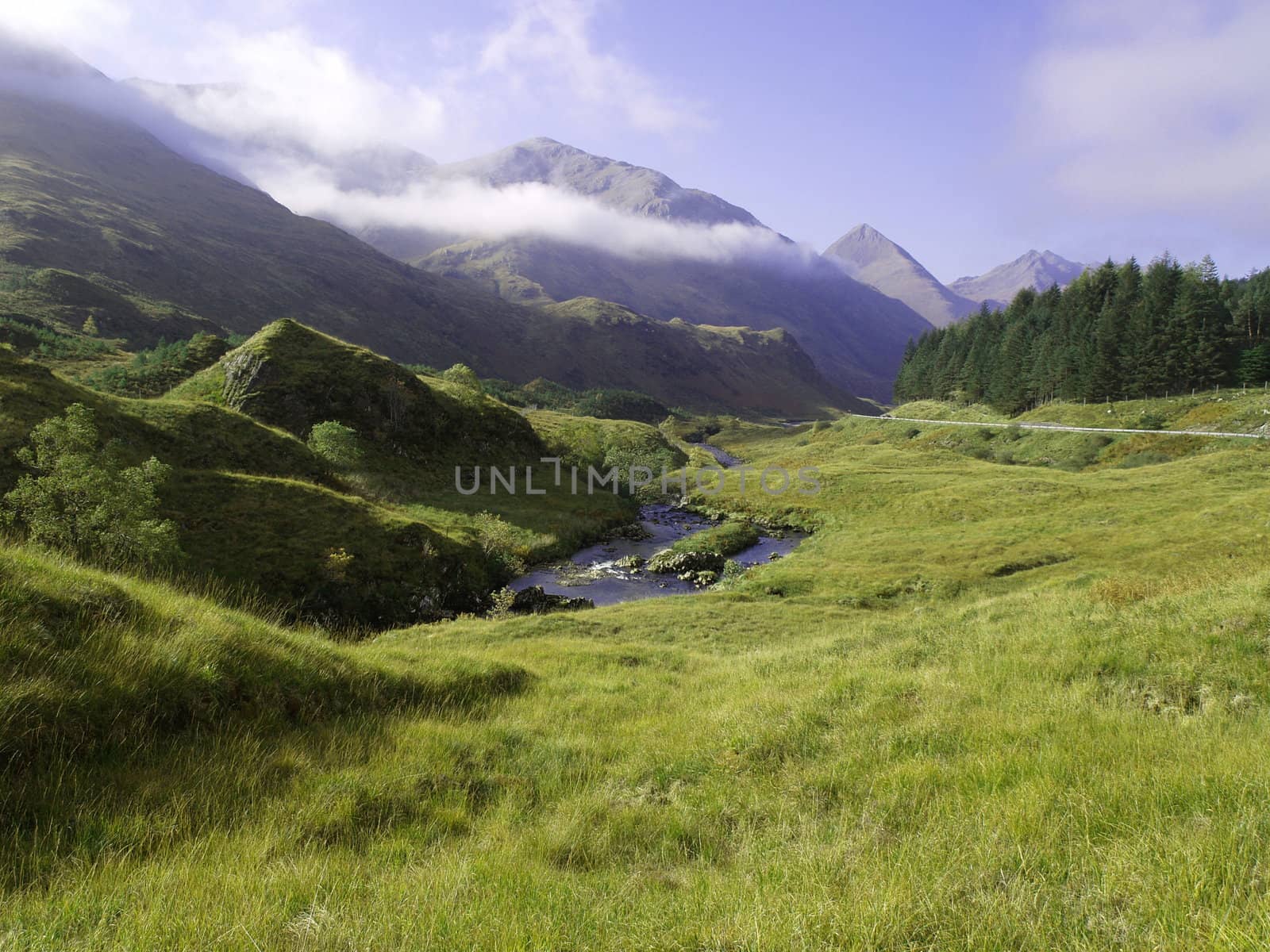 Green grass of a mountain by anderm