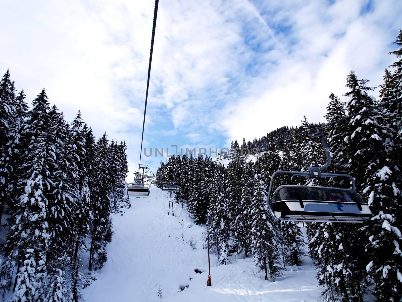 Ski lift with snowy trees and blue sky.