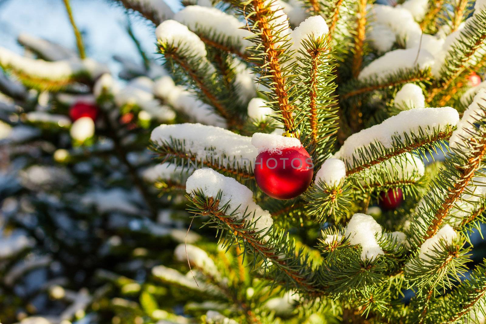 Christmas Balls on Tree by edan