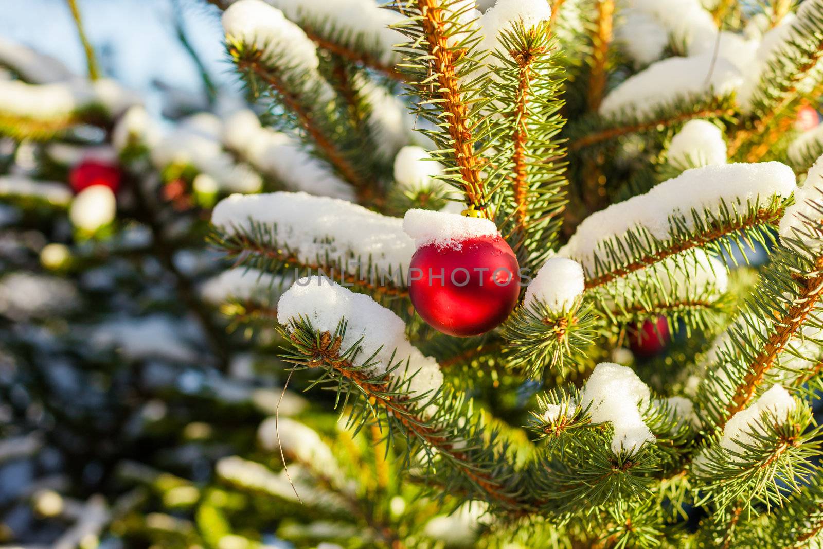 Christmas Balls on Tree by edan