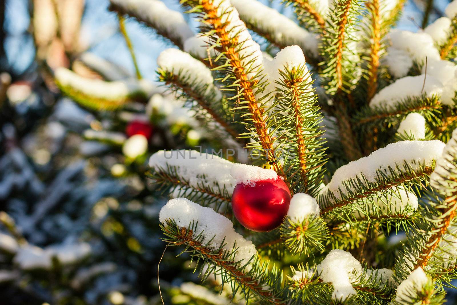 Christmas Balls on Tree by edan