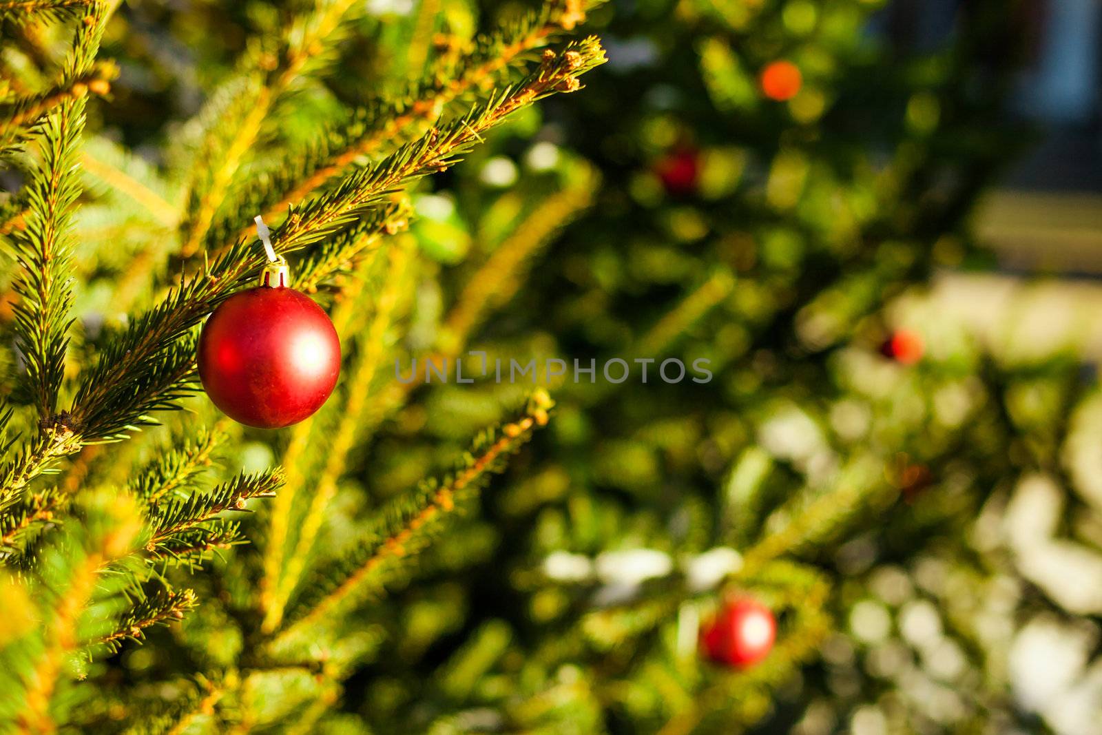 Merry Christmas and a Happy New Year Red Ornament