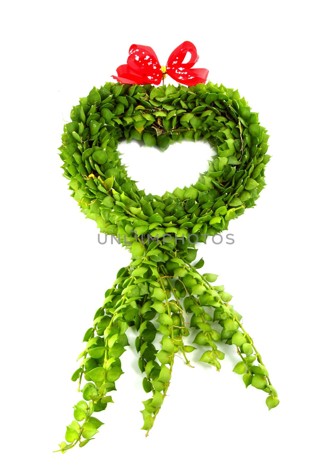 Heart shape from green Leaves on white background by geargodz