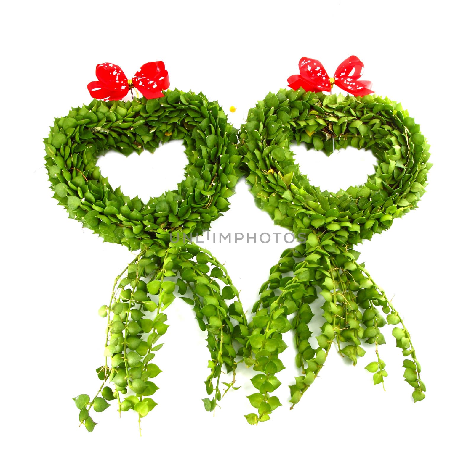 Heart shape from green Leaves on white background by geargodz