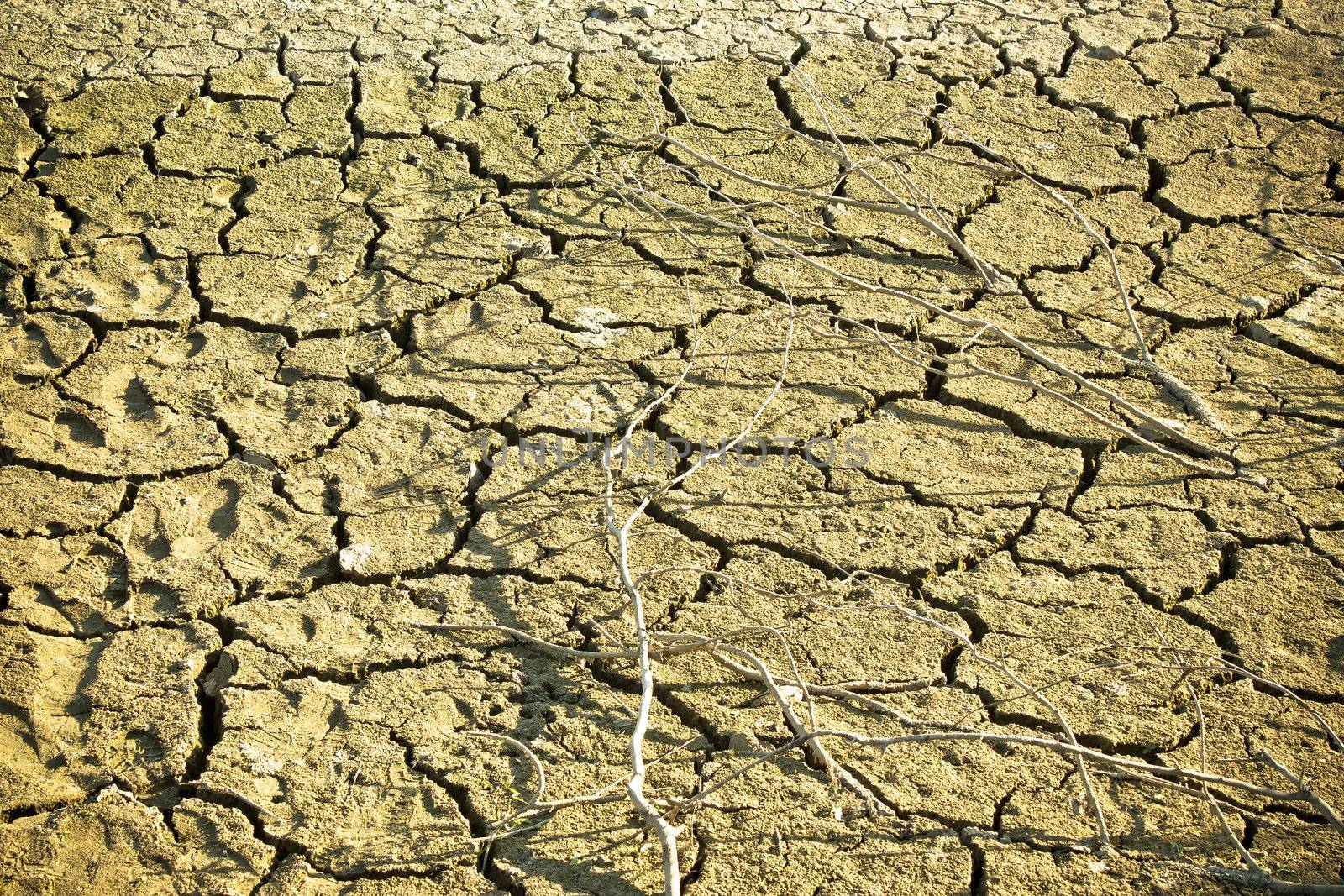 Dry soil in lake bottom during dryness season, Croatia