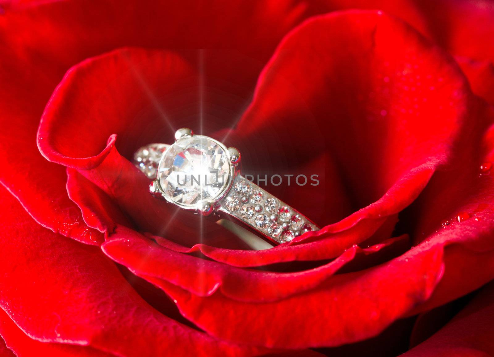 Golden diamond ring and rose