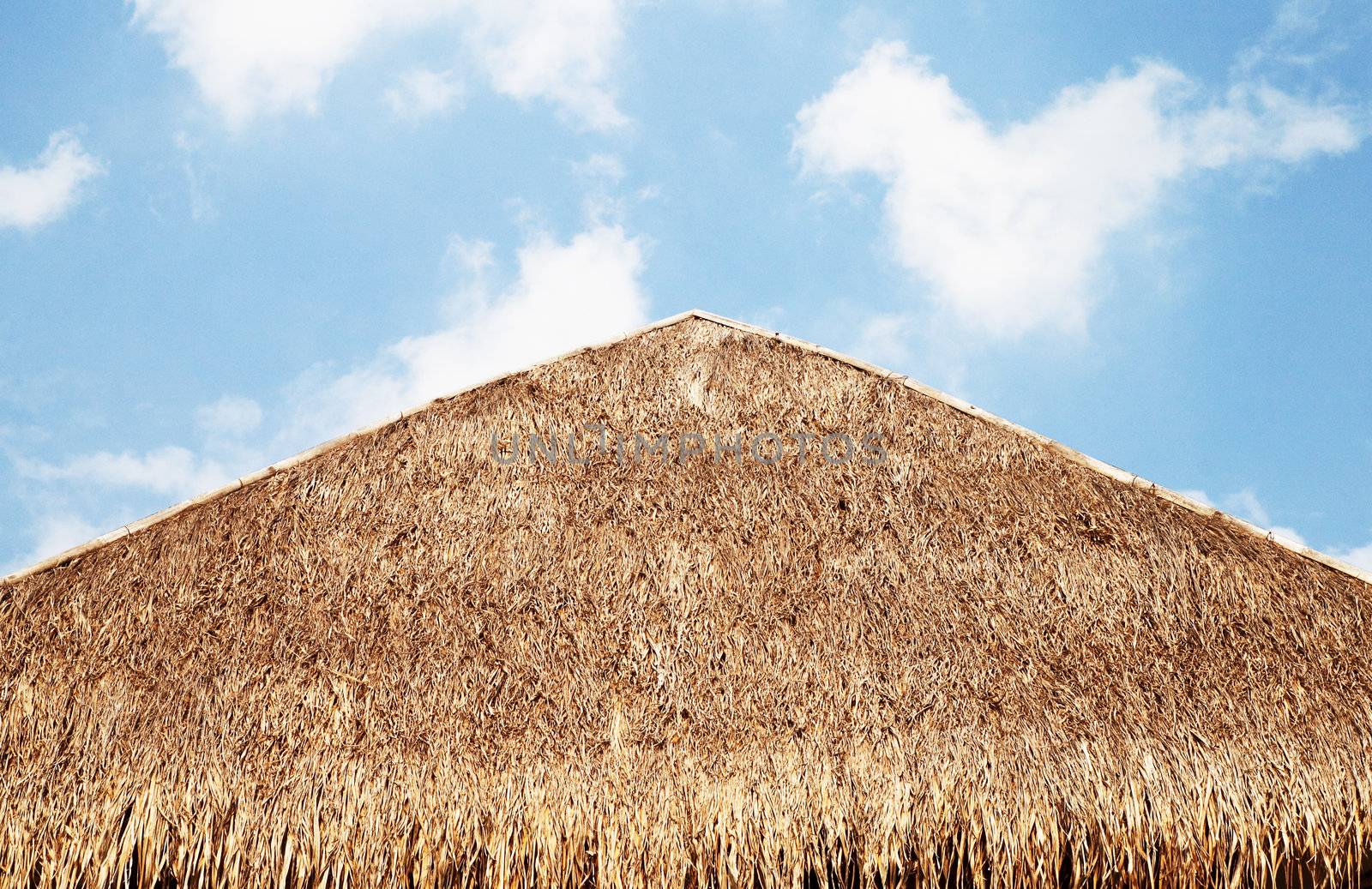 The thatched roof with blue sky by geargodz