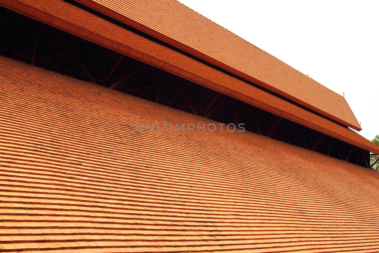 The Clay Roof Tiles of a House in the Countryside of Thailand by geargodz