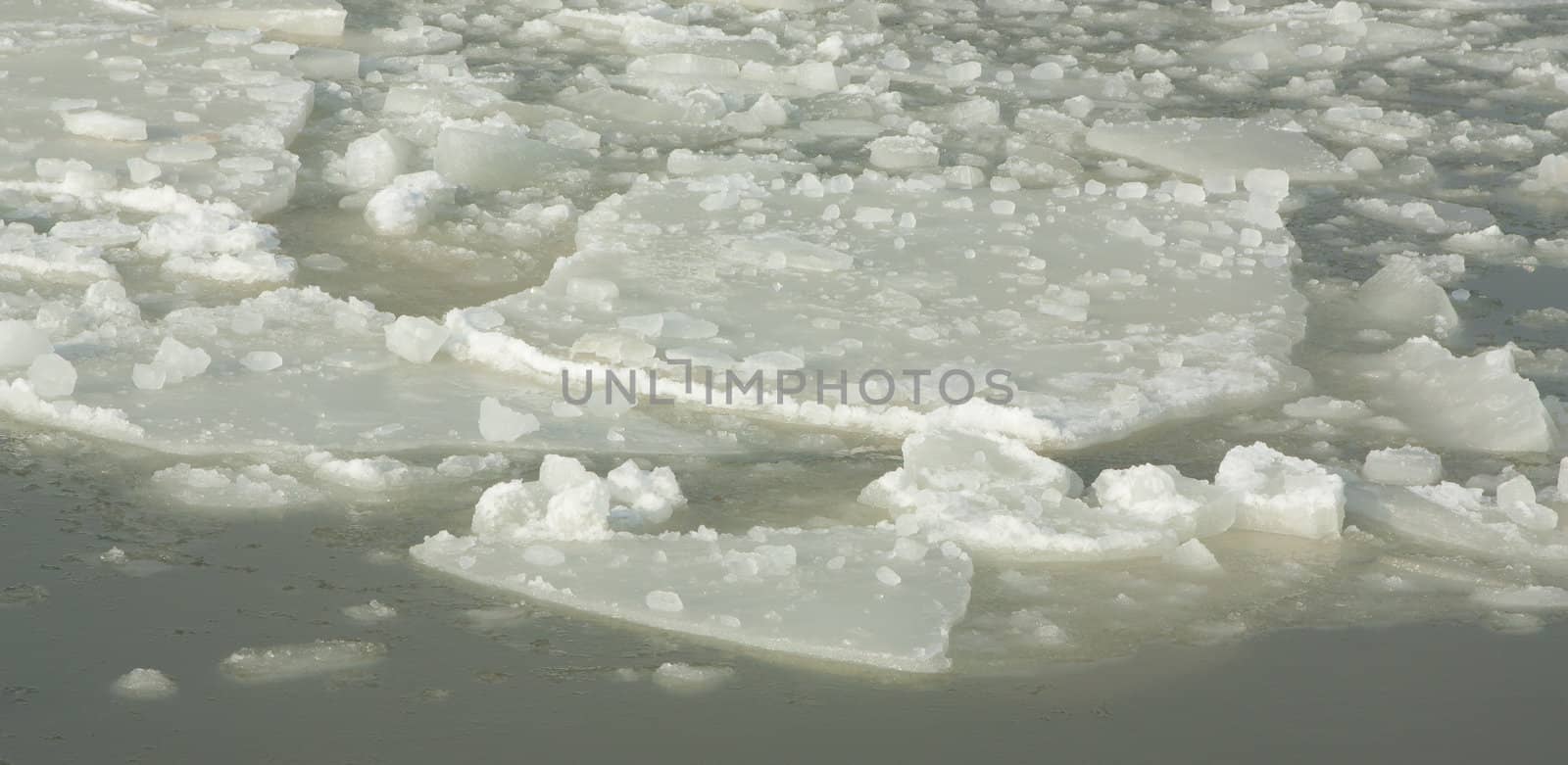 Ice in a harbour at the dutch waddensea
