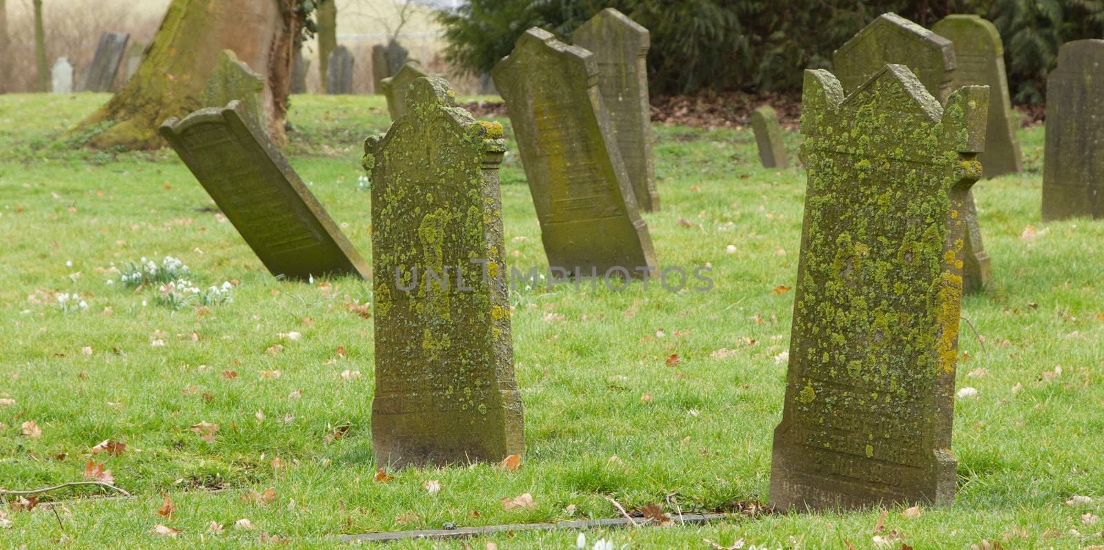 Tombstones on an old graveyard in Holland