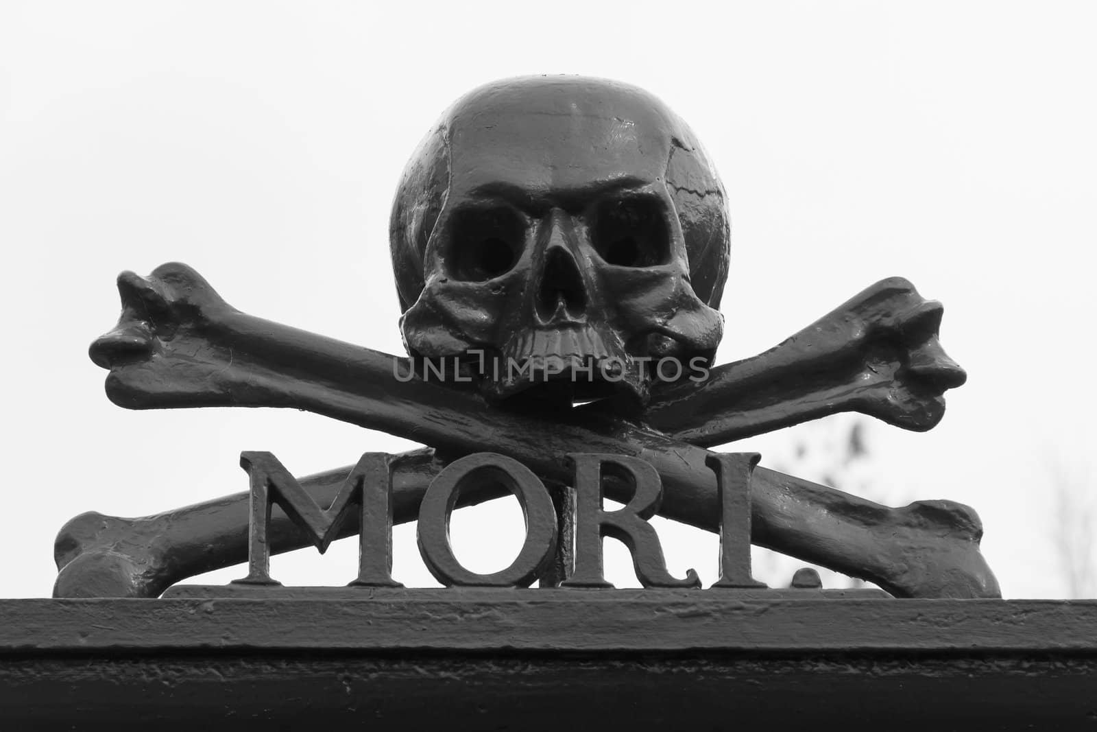 A skull at a graveyard  by michaklootwijk