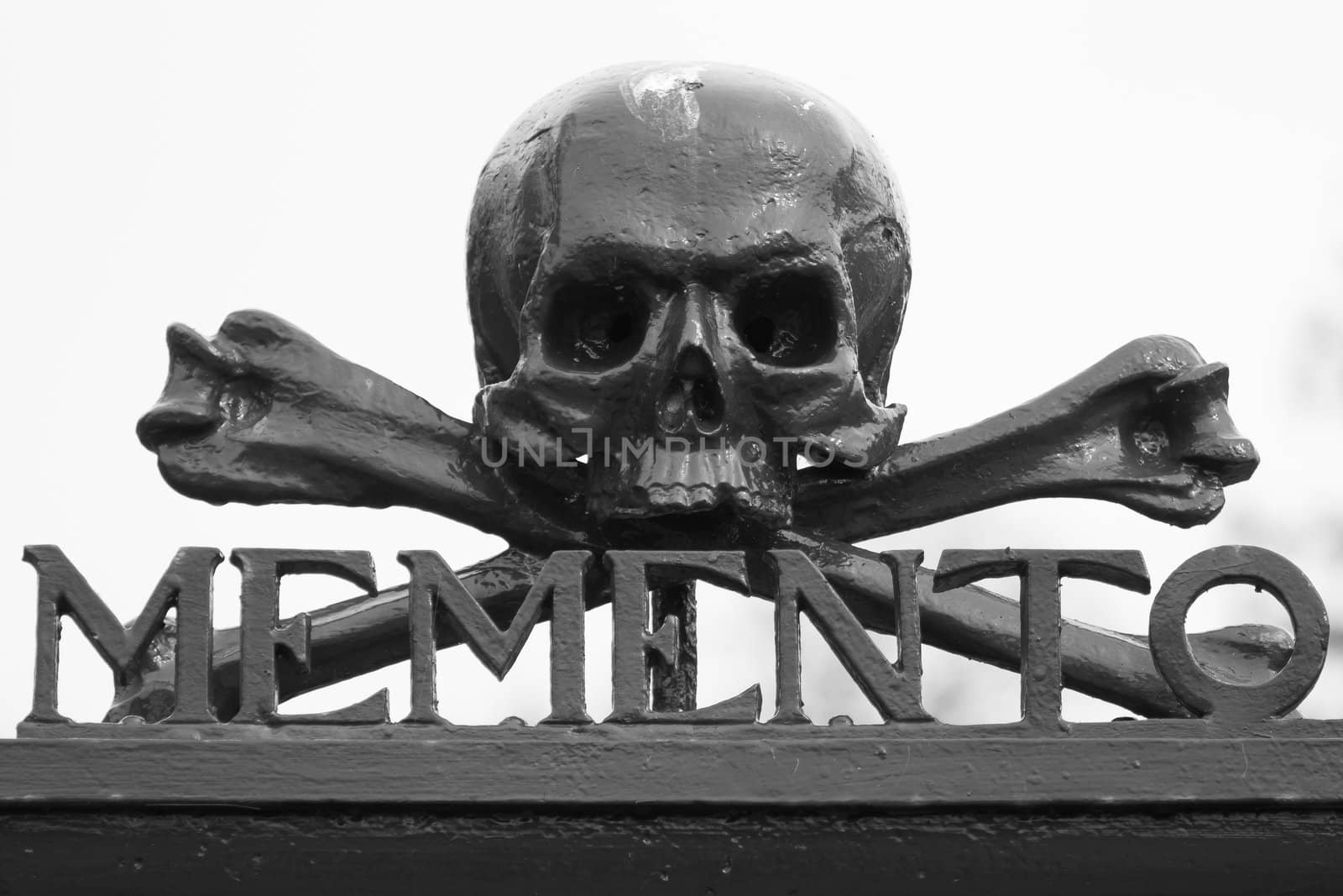 A skull at a graveyard (Memento Mori)