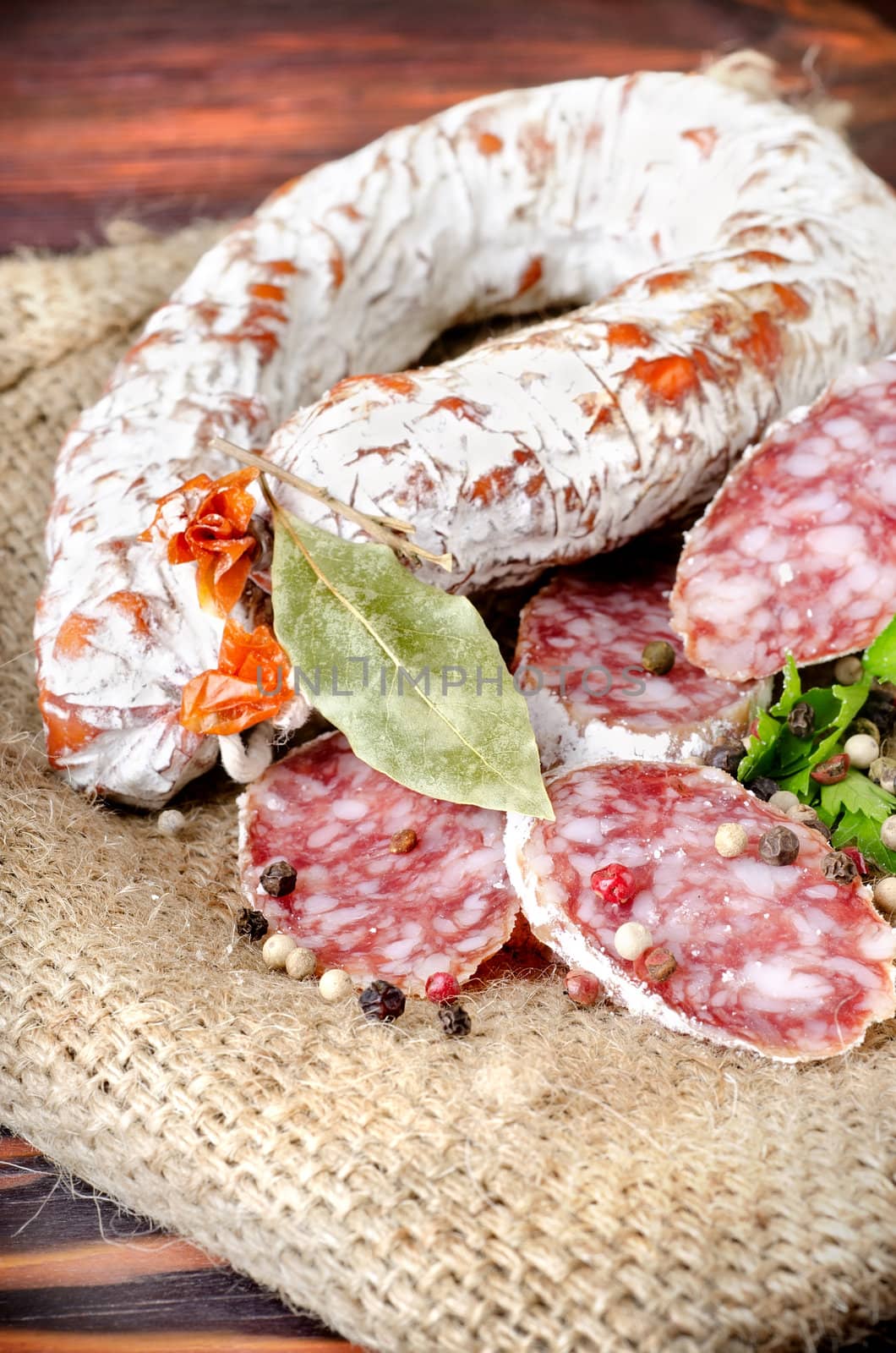 Salami sausage and spices by Givaga