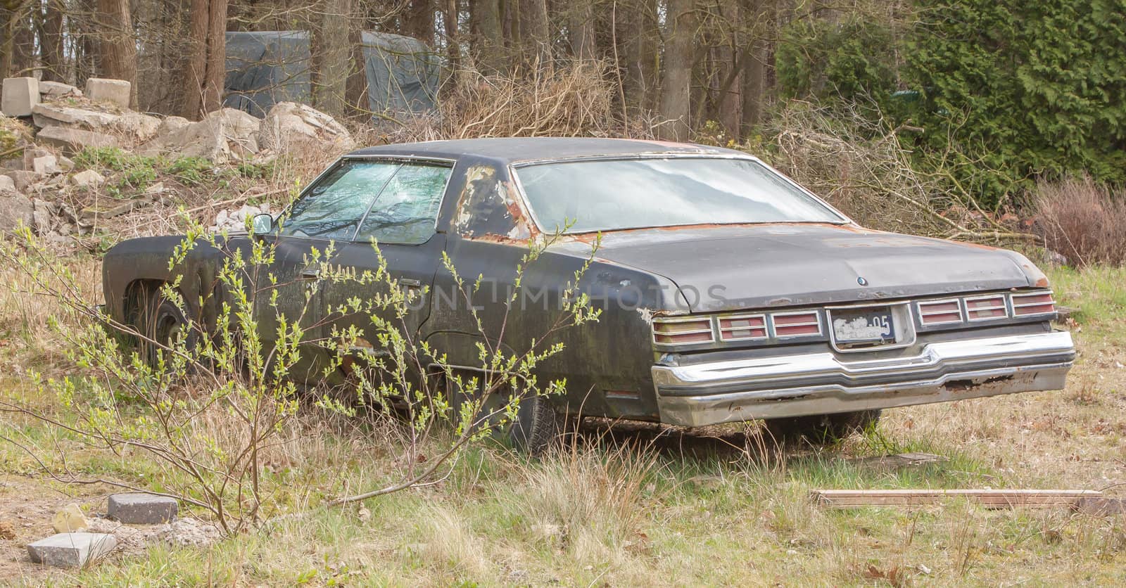 An old rusted car by michaklootwijk