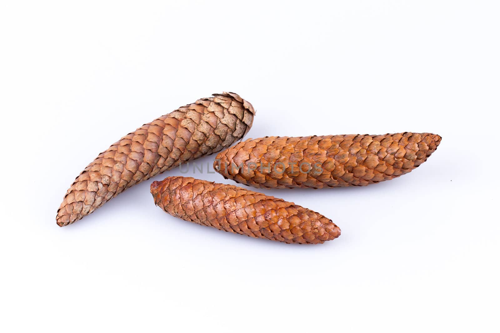 Pine cones isolated on white by michaklootwijk