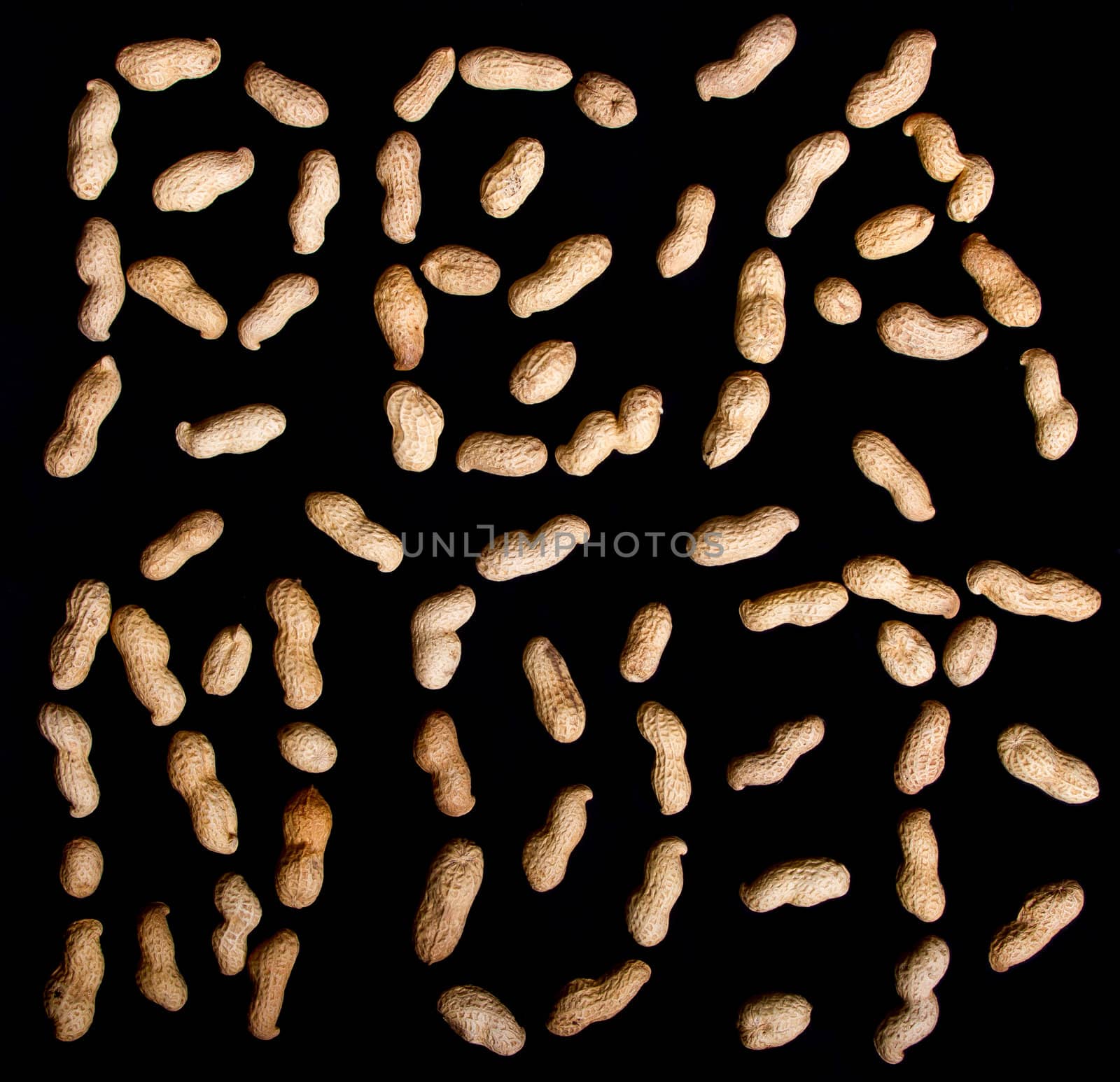 Roasted in-shell peanuts on a black background